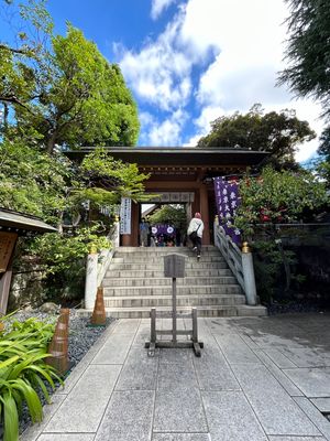 東京大神宮で、縁結びのお祈り😶
あとは、すみだ水族館へ🪼