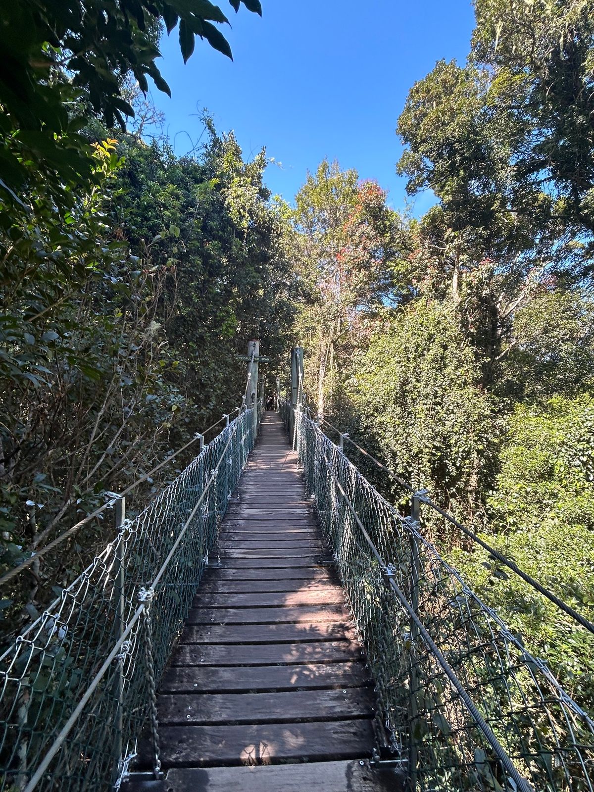 ラミントン国立公園。