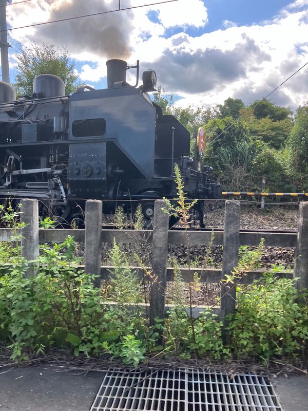 日本・長野県「北関東制覇の旅」の写真：東武ワールドスクウェア①