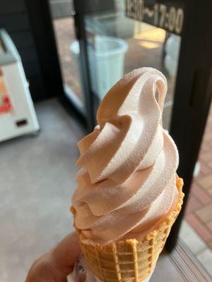 こんにゃくパーク