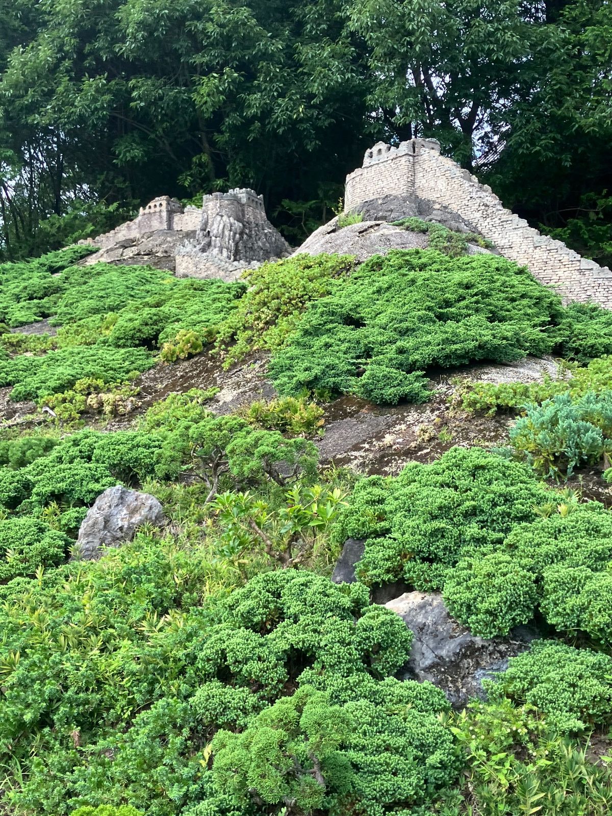 東武ワールドスクウェア③