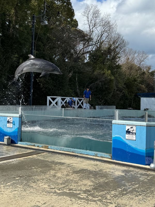 日本・香川県「ついつい」の写真