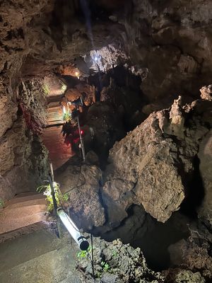 番外編
9月中の水曜日と日曜日が路線バス無料になってました。
なので石垣島...