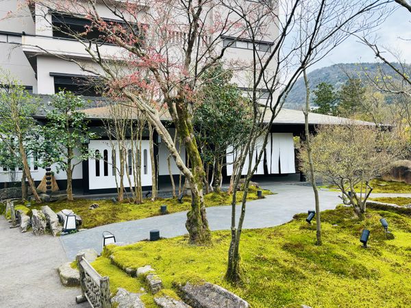 日本・石川「山中温泉」の写真：花紫に再訪。
リニューアルされて和洋折衷...