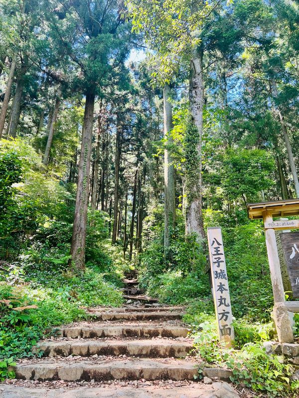 日本・東京都「八王子城とハイコスパ呑み」の写真