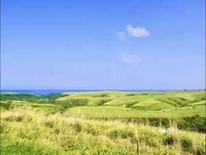 【宗谷丘陵】
北海道遺産に選定された宗谷岬の南に広がる日本最北の丘陵地帯
...