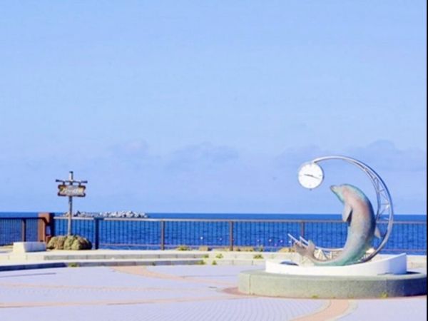 日本・北海道「🇯🇵【北海道】稚内宗谷バス観光バスツアー」の写真：【ノシャップ岬】
宗谷バスの定期観光バス...