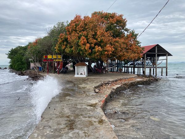ベトナム・đảo Hải Tặc(海賊島)「ベトナム」の写真：海賊島đảo Hải Tặc
埠頭から島...