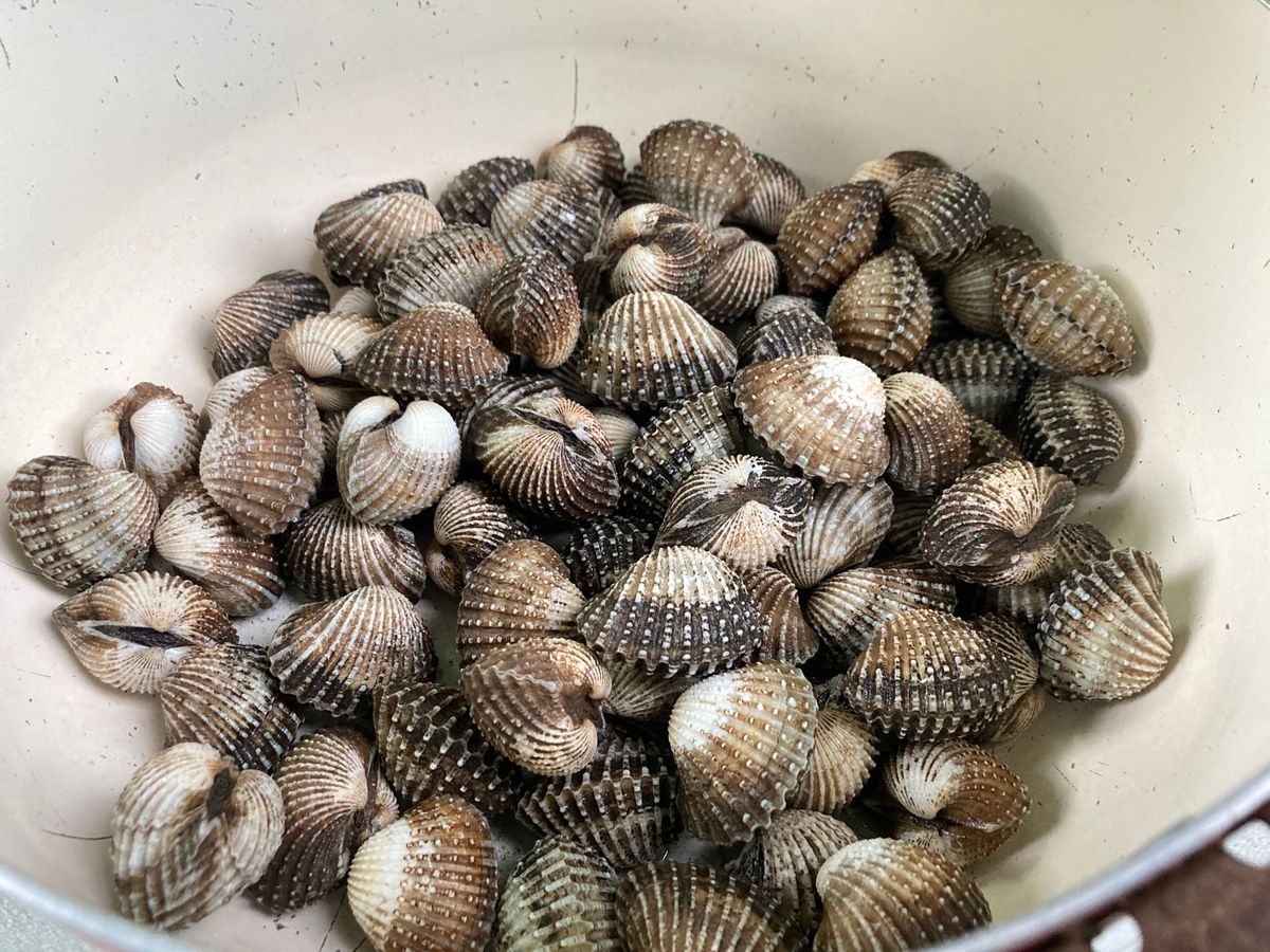 友達宅にて飲み会。cá khoai(テナガミズテング)の鍋。魚はトロトロ、...