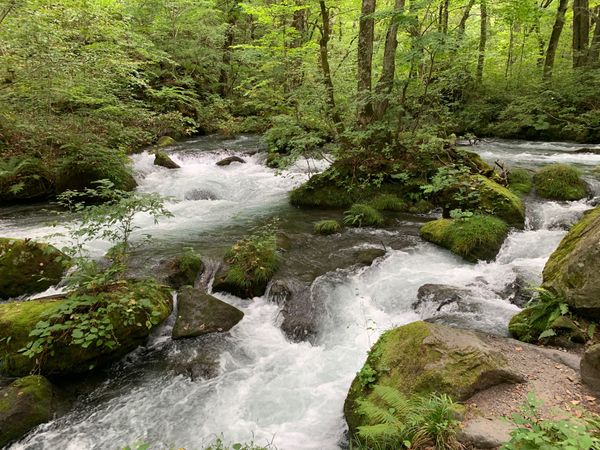 日本・青森県「奥入瀬渓流　青森県」の写真