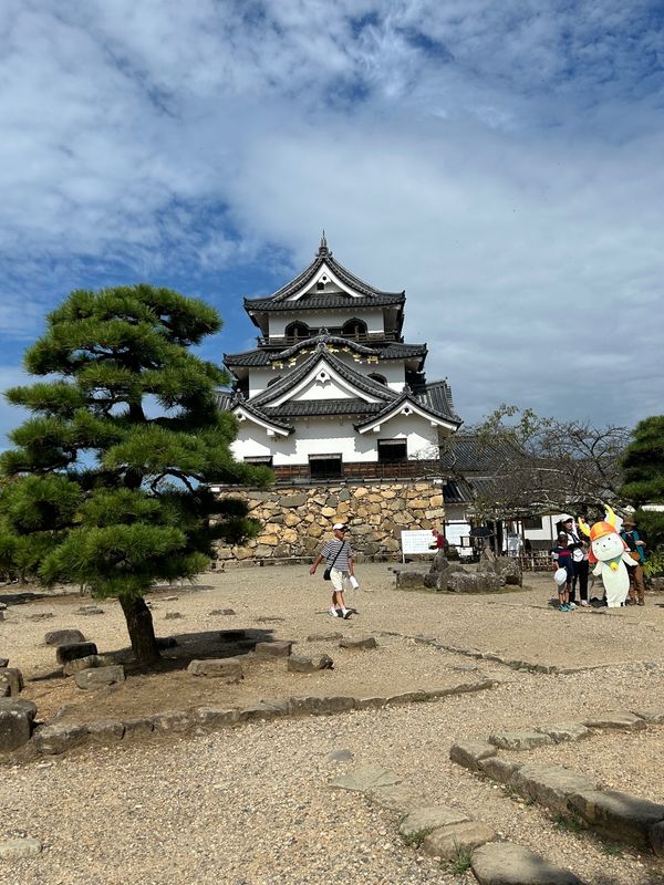 日本・滋賀県「彦根〜長浜〜高島メタセコイア」の写真
