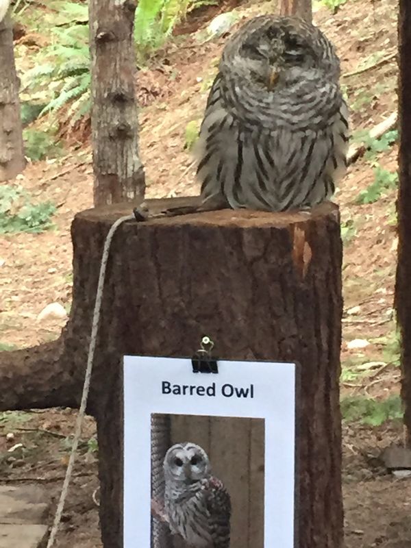 カナダ・バンクーバー「ホームステイ」の写真