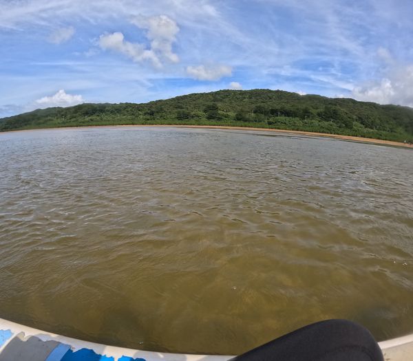 日本・沖縄県「西表島、小浜島」の写真：マングローブカヌー
川の土は硫黄の匂いが...