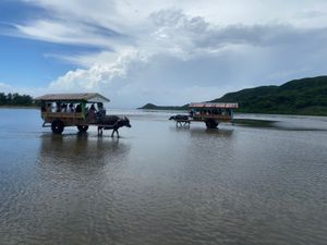 とても良いところ！水牛車気持ちいい！