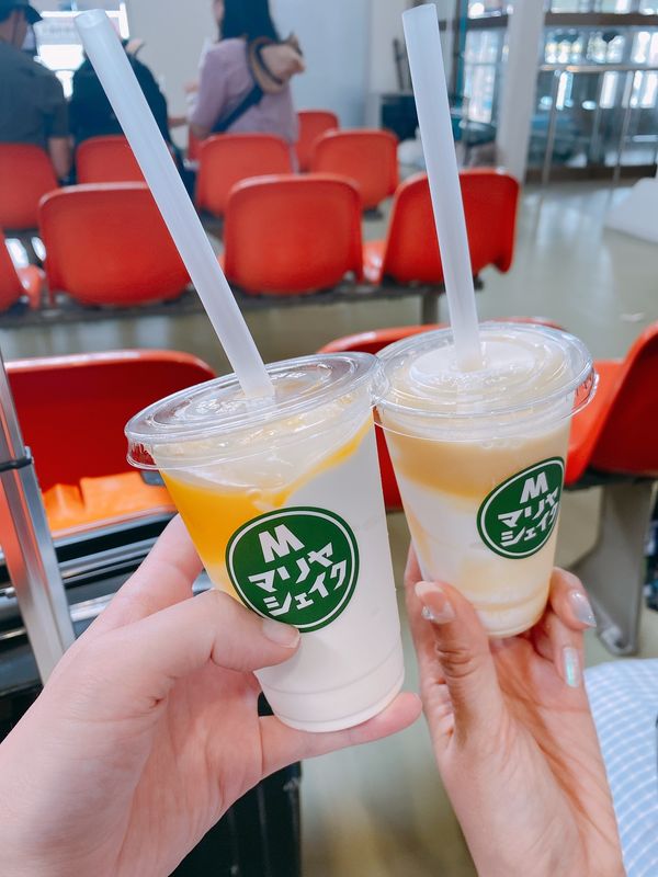 日本・沖縄県「西表島、小浜島」の写真