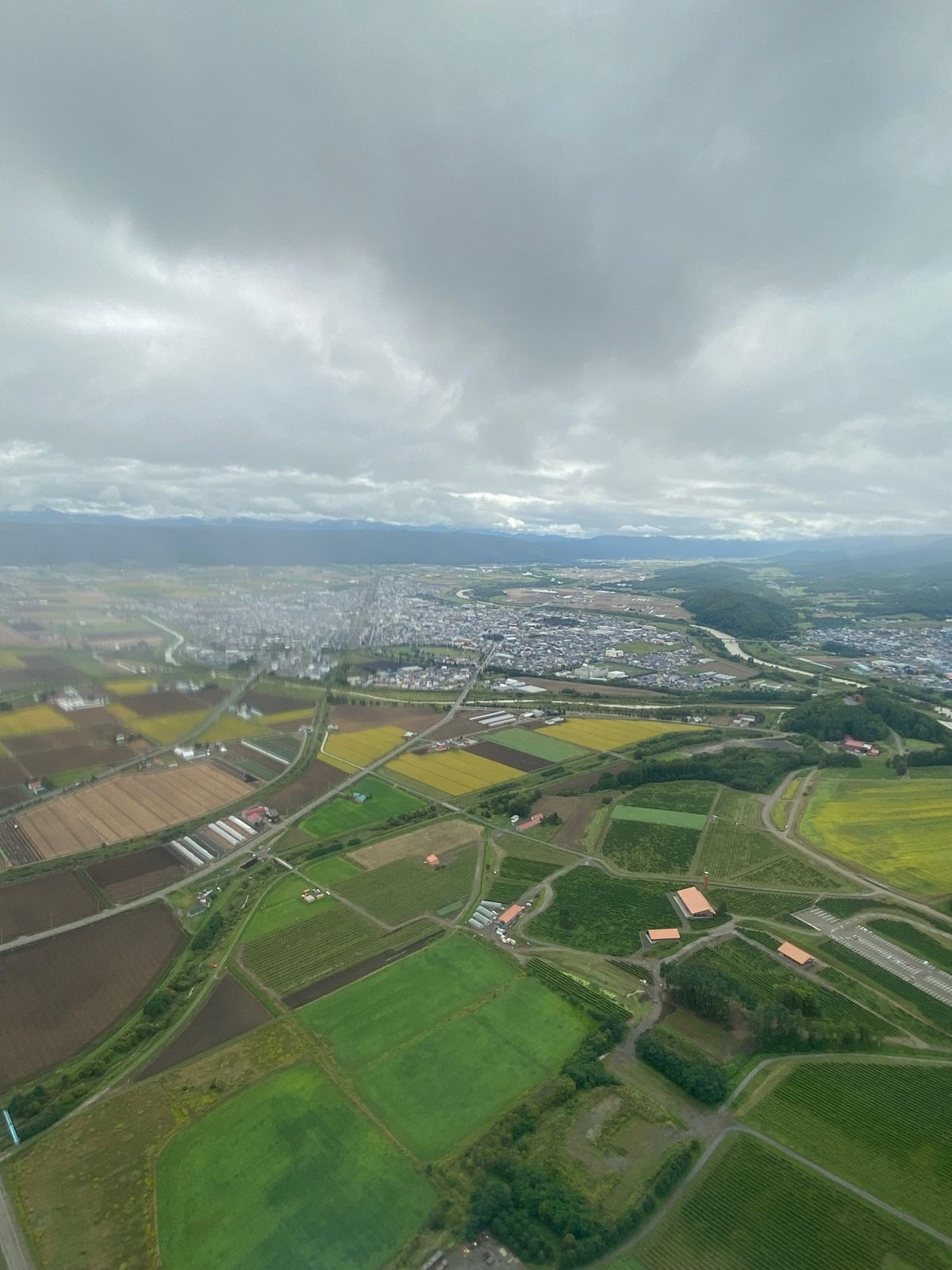 パラグライダー体験