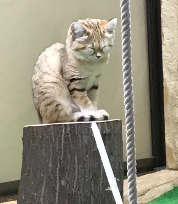 日本・栃木県「那須」の写真