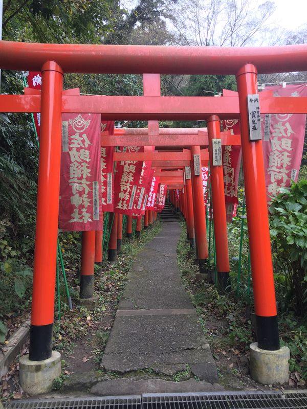 日本・神奈川県「鎌倉」の写真