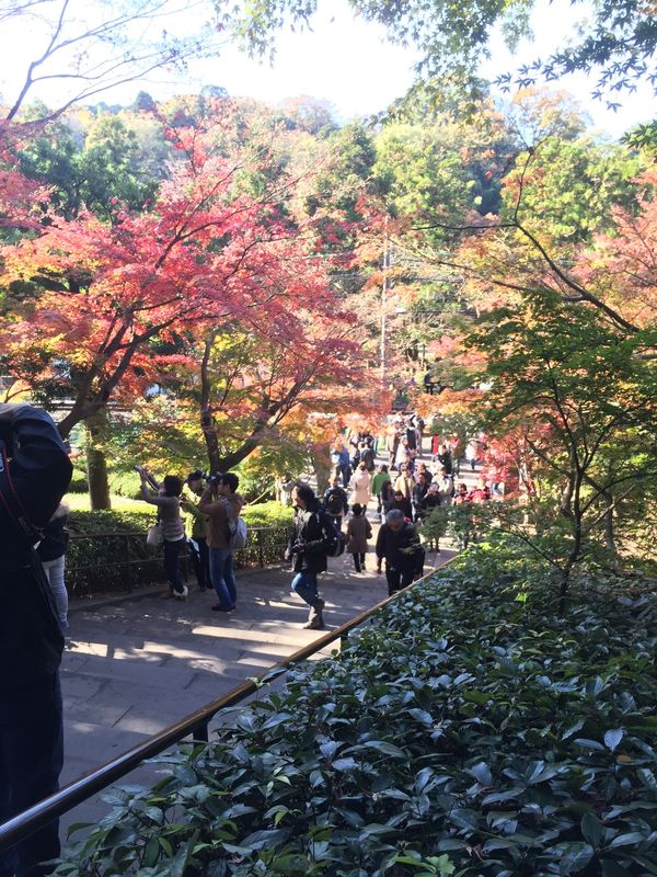 日本・神奈川県「鎌倉」の写真