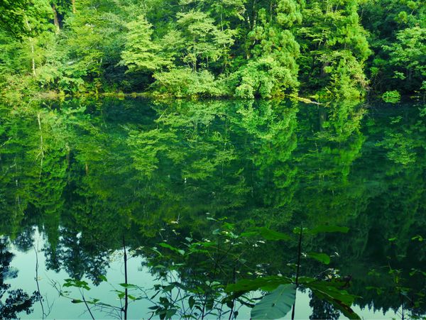 日本・長野県「新潟・長野・群馬 旅行」の写真：龍ヶ窪