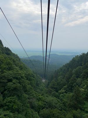 弥彦神社
ウニがとても美味しい