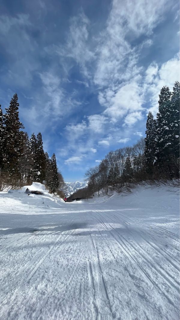 日本・湯沢「スキー旅行」の写真