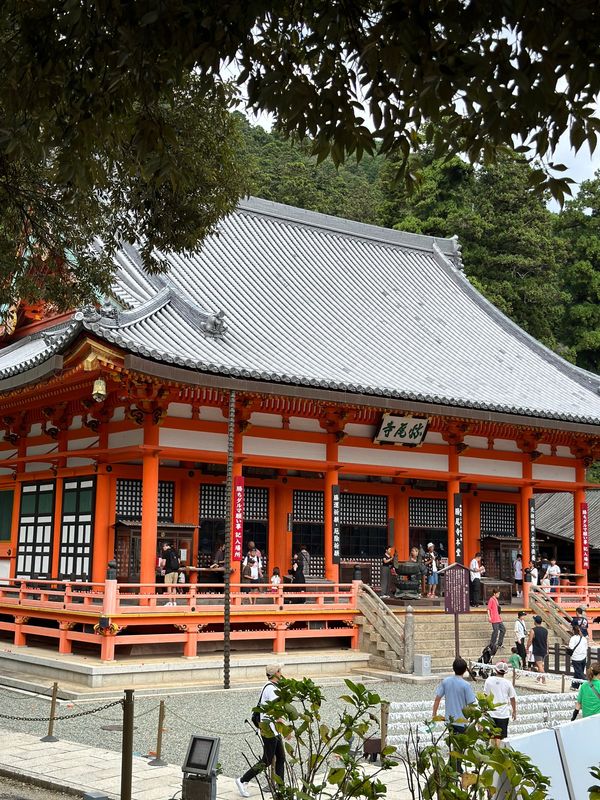 日本・京都府「大阪・京都　2024.09」の写真