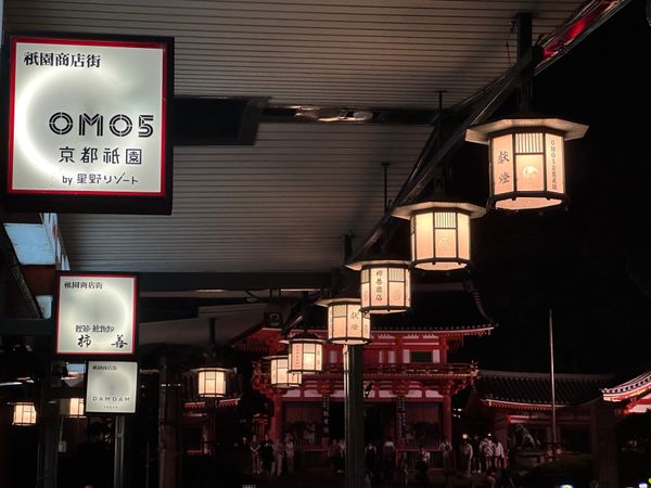 日本・京都府「大阪・京都　2024.09」の写真