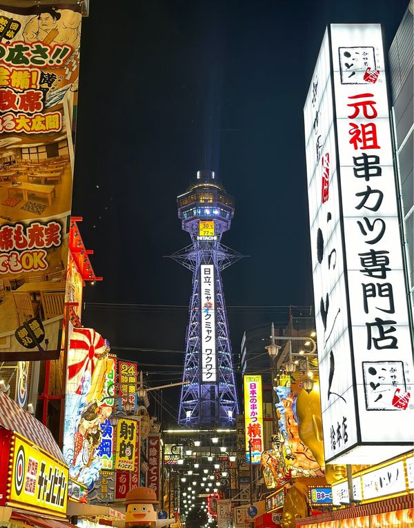 日本・京都府「大阪・京都　2024.09」の写真