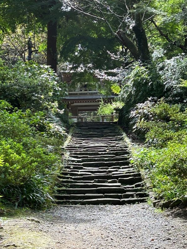 日本・神奈川県「東京と」の写真