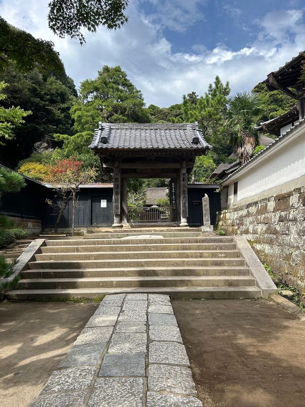 日本・神奈川県「東京と」の写真