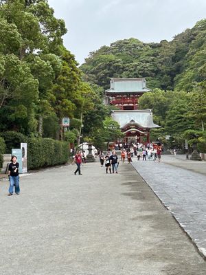 天気が良くないが鎌倉