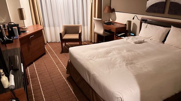 日本・千葉県「1人旅」の写真：噴水ショーがあっり至りりつくせりで一日中...