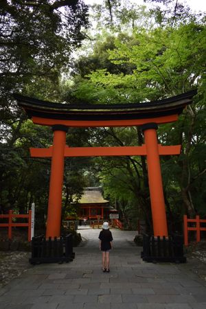 岳切渓谷・合元寺・宇佐神宮