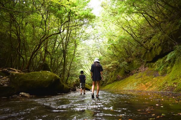 日本・大分県「大分県宇佐・中津ぶらり旅」の写真：岳切渓谷・合元寺・宇佐神宮