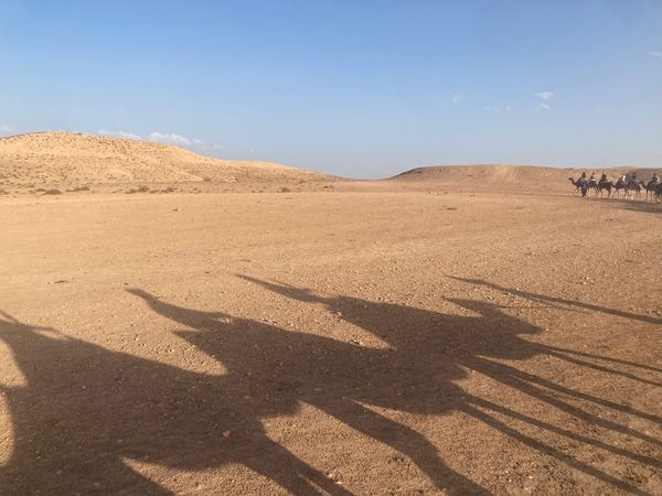 モロッコ・カサブランカ「親友とモロッコ」の写真：Marrakesh 