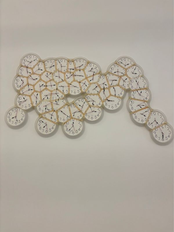 日本・石川県「岐阜･金沢･福井旅行」の写真