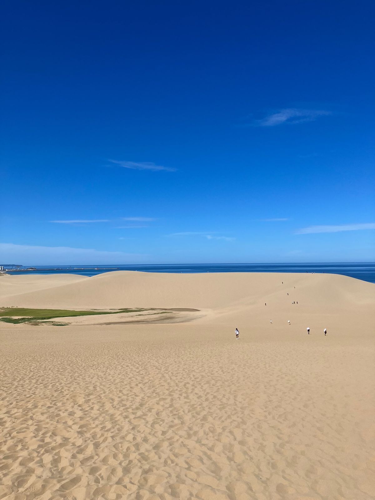 鳥取砂丘＋鳥取城址