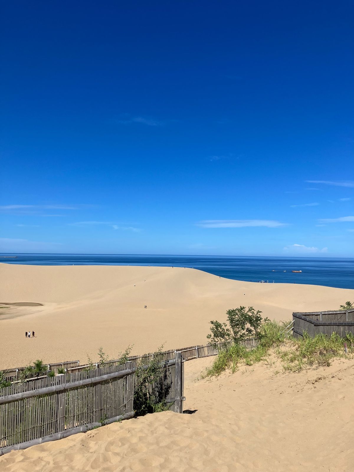 鳥取砂丘＋鳥取城址