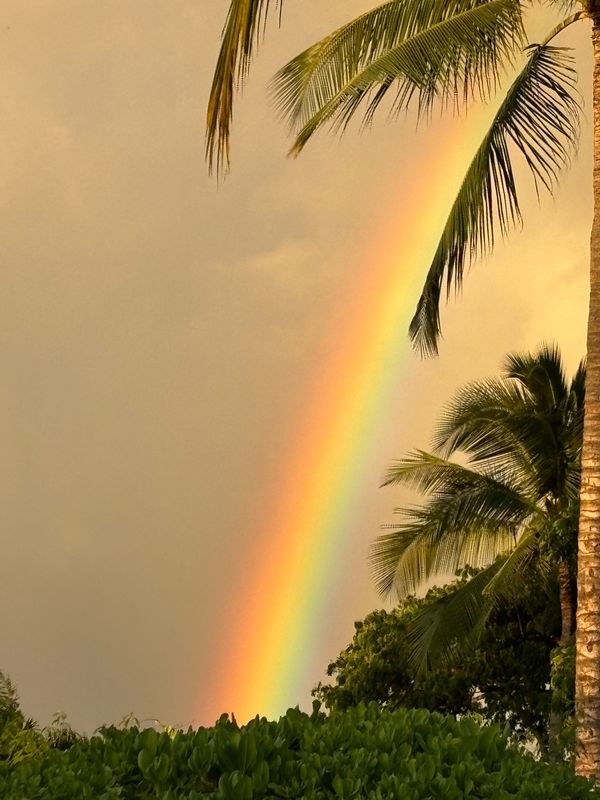 アメリカ(米国)・HAWAII「マリオット」の写真