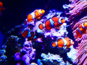 仙台うみの杜水族館