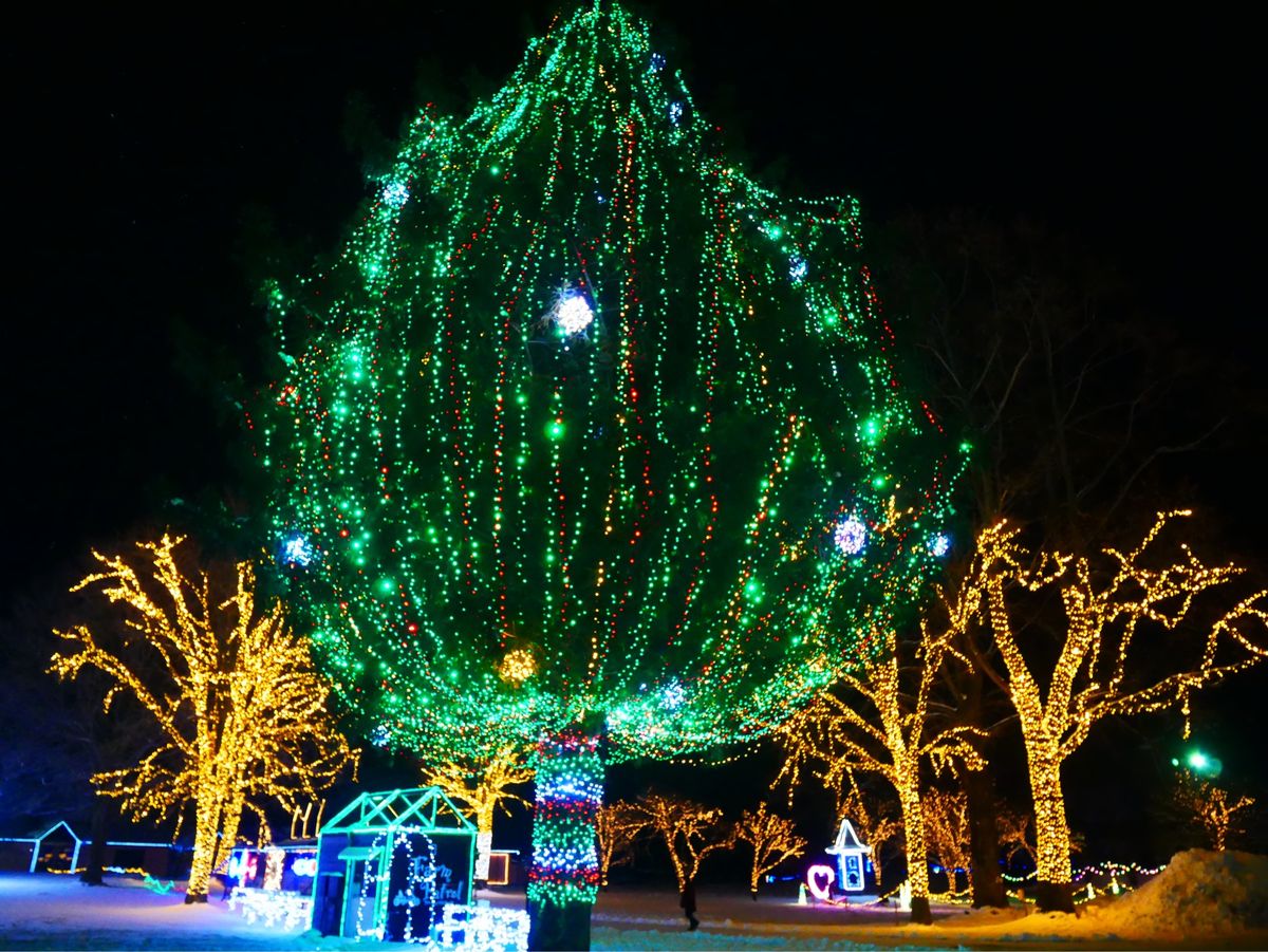 KOIWAI Winter Lights 銀河農場の夜
Part.1