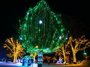 KOIWAI Winter Lights 銀河農場の夜
Part.1