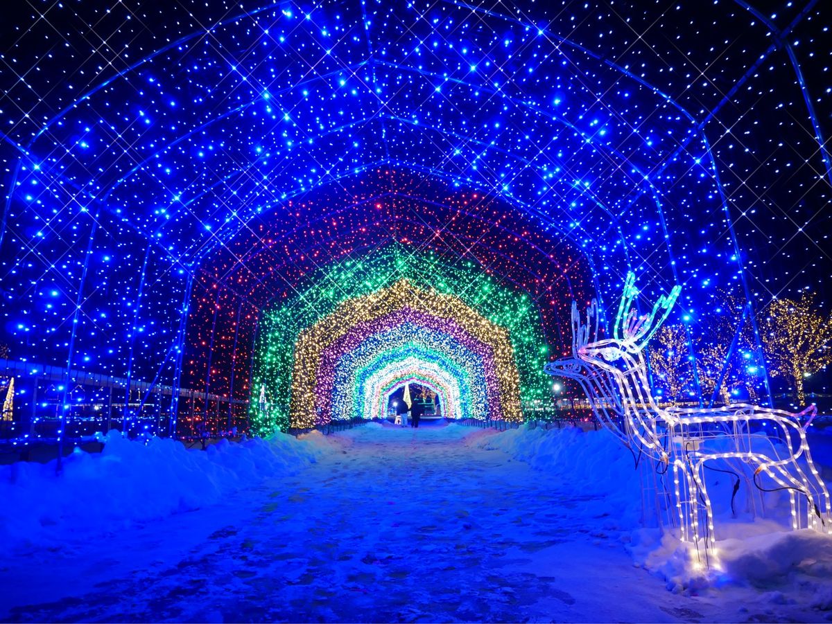 KOIWAI Winter Lights 銀河農場の夜
Part.2