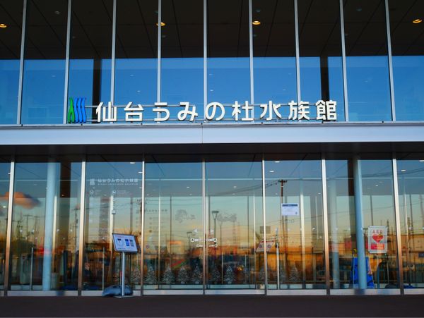 日本「青森・岩手 旅行」の写真：仙台うみの杜水族館