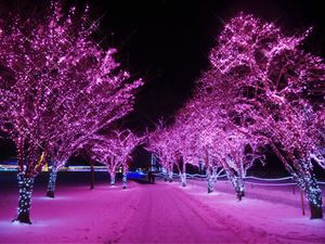 KOIWAI Winter Lights 銀河農場の夜
Part.3