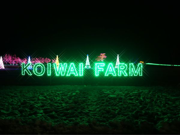 日本「青森・岩手 旅行」の写真：KOIWAI Winter Lights 銀河農場の夜Part.1