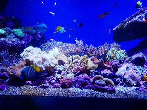 仙台うみの杜水族館