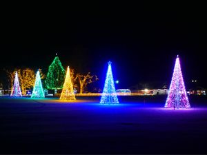 KOIWAI Winter Lights 銀河農場の夜
Part.3