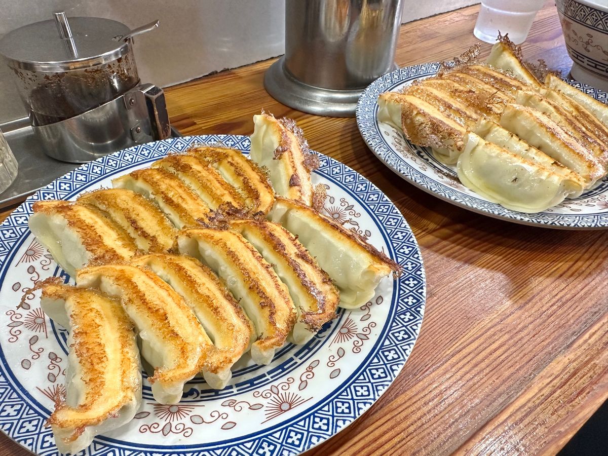 宇都宮　好きな餃子店